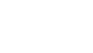 Electrolux Professional